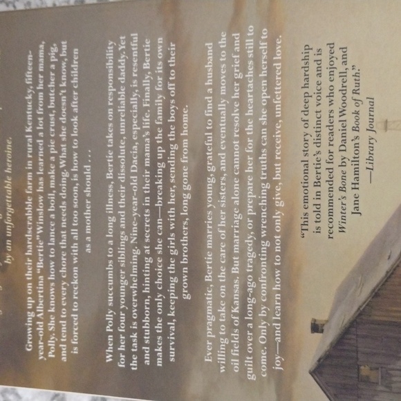 All The Forgiveness by Elizabeth Hardinger book - Picture 5 of 10